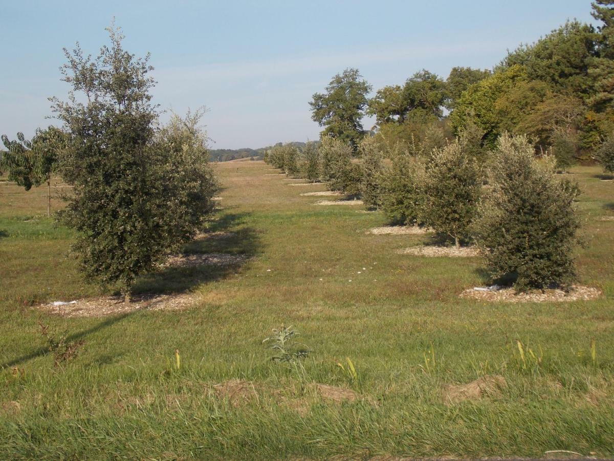 Гостевой дом Le Petit Breuil Verteillac Экстерьер фото