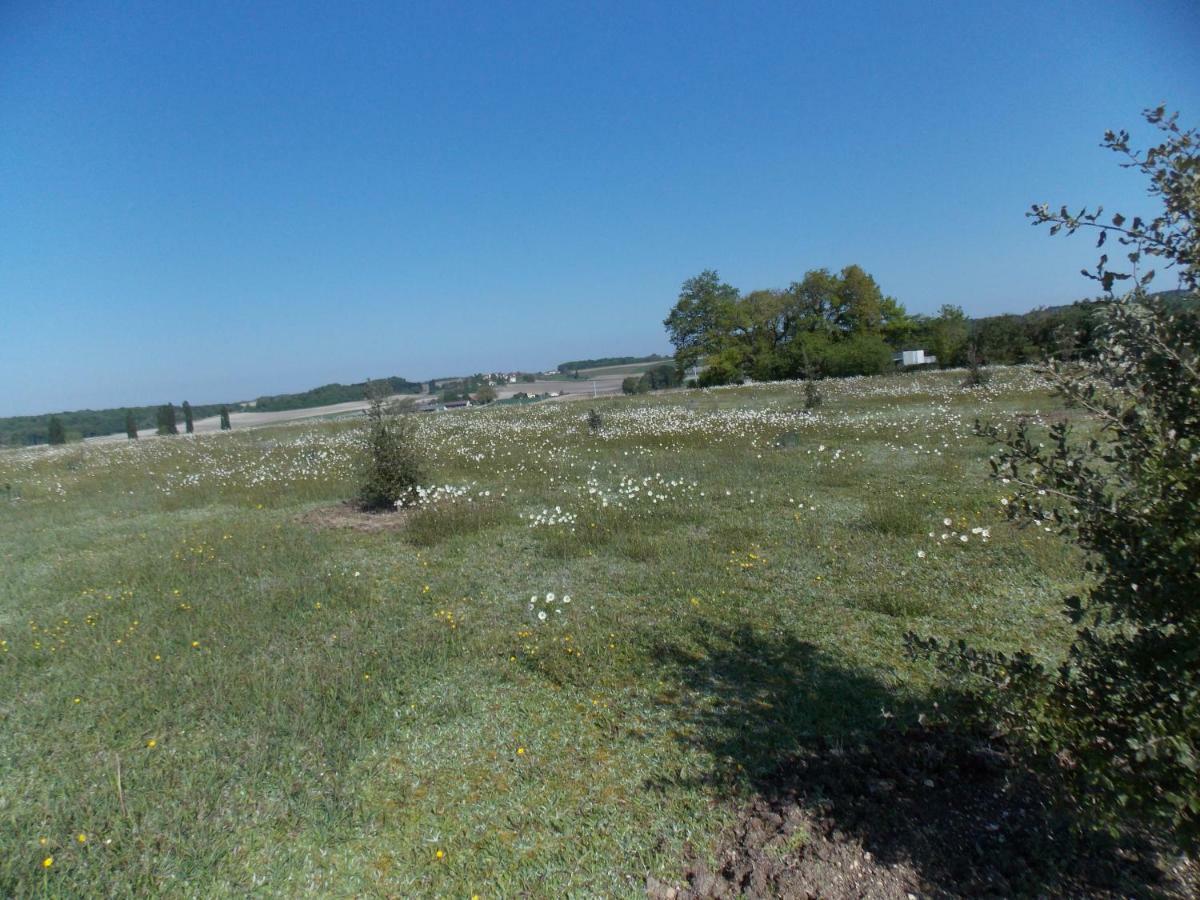 Гостевой дом Le Petit Breuil Verteillac Экстерьер фото